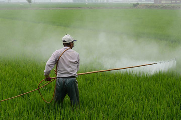 Tipos de coadyuvantes agrícolas